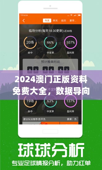 2024澳门精准正版资料;构建解答解释落实