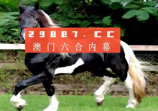 澳门香港一肖一码一中一特免费公开;专业分析解释落实