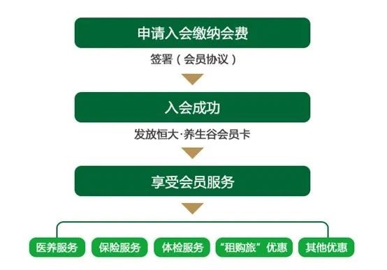 广东省高端养老金，构建更优质养老服务体系的新篇章