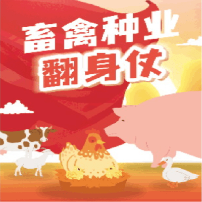 广东省同城快递企业概览，几家主要快递公司的特色与优势